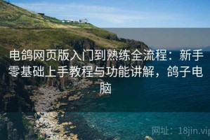电鸽网页版入门到熟练全流程：新手零基础上手教程与功能讲解，鸽子电脑