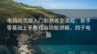 电鸽网页版入门到熟练全流程：新手零基础上手教程与功能讲解，鸽子电脑