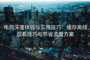 电鸽深度体验与实用技巧：缓存离线观看技巧与节省流量方案