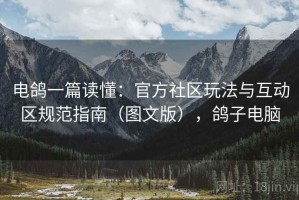 电鸽一篇读懂：官方社区玩法与互动区规范指南（图文版），鸽子电脑
