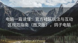 电鸽一篇读懂：官方社区玩法与互动区规范指南（图文版），鸽子电脑