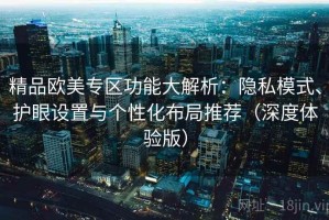 精品欧美专区功能大解析：隐私模式、护眼设置与个性化布局推荐（深度体验版）