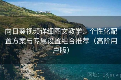 向日葵视频详细图文教学：个性化配置方案与专属设置组合推荐（高阶用户版）