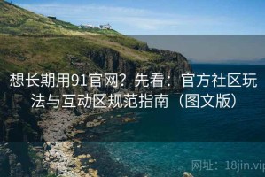 想长期用91官网？先看：官方社区玩法与互动区规范指南（图文版）