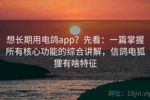 想长期用电鸽app？先看：一篇掌握所有核心功能的综合讲解，信鸽电狐狸有啥特征