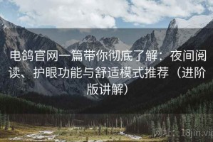 电鸽官网一篇带你彻底了解：夜间阅读、护眼功能与舒适模式推荐（进阶版讲解）