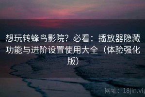 想玩转蜂鸟影院？必看：播放器隐藏功能与进阶设置使用大全（体验强化版）