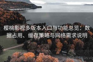 樱桃影视多版本入口与功能总览：数据占用、缓存策略与网络需求说明
