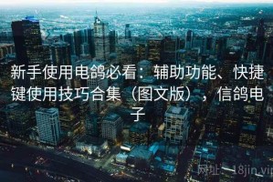 新手使用电鸽必看：辅助功能、快捷键使用技巧合集（图文版），信鸽电子