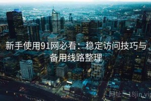 新手使用91网必看：稳定访问技巧与备用线路整理