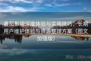 番茄影视深度体验与实用技巧：长期用户维护体验与资源整理方案（图文加强版）