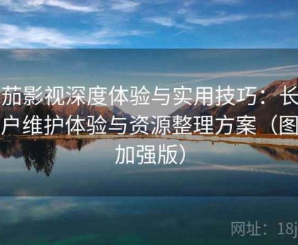 番茄影视深度体验与实用技巧：长期用户维护体验与资源整理方案（图文加强版）