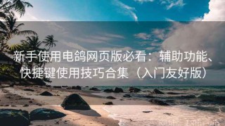 新手使用电鸽网页版必看：辅助功能、快捷键使用技巧合集（入门友好版）