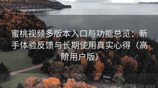 蜜桃视频多版本入口与功能总览：新手体验反馈与长期使用真实心得（高阶用户版）