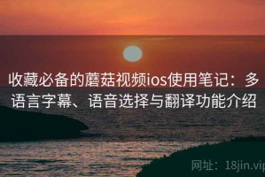 收藏必备的蘑菇视频ios使用笔记：多语言字幕、语音选择与翻译功能介绍