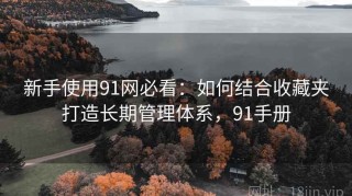 新手使用91网必看：如何结合收藏夹打造长期管理体系，91手册