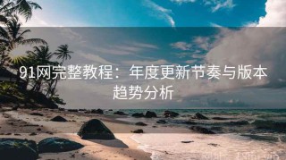 91网完整教程：年度更新节奏与版本趋势分析
