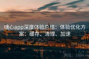 糖心app深度体验总结：体验优化方案：缓存、清理、加速