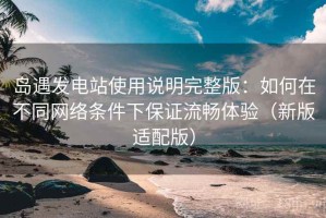 岛遇发电站使用说明完整版：如何在不同网络条件下保证流畅体验（新版适配版）