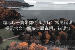糖心tv一篇带你彻底了解：常见错误提示含义与解决步骤说明，错误t1