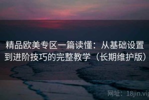 精品欧美专区一篇读懂：从基础设置到进阶技巧的完整教学（长期维护版）