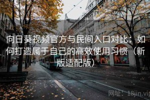 向日葵视频官方与民间入口对比：如何打造属于自己的高效使用习惯（新版适配版）