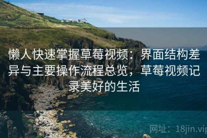 懒人快速掌握草莓视频：界面结构差异与主要操作流程总览，草莓视频记录美好的生活