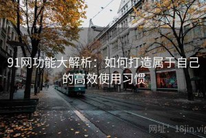 91网功能大解析：如何打造属于自己的高效使用习惯
