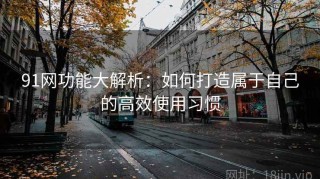 91网功能大解析：如何打造属于自己的高效使用习惯