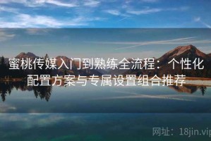 蜜桃传媒入门到熟练全流程：个性化配置方案与专属设置组合推荐