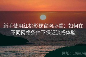 新手使用红桃影视官网必看：如何在不同网络条件下保证流畅体验