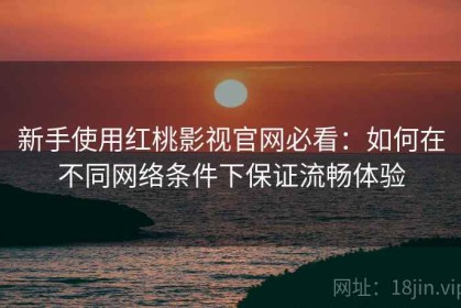 新手使用红桃影视官网必看：如何在不同网络条件下保证流畅体验
