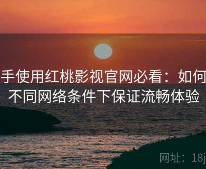 新手使用红桃影视官网必看：如何在不同网络条件下保证流畅体验
