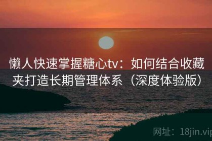 懒人快速掌握糖心tv：如何结合收藏夹打造长期管理体系（深度体验版）