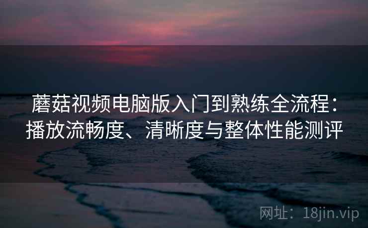 蘑菇视频电脑版入门到熟练全流程：播放流畅度、清晰度与整体性能测评
