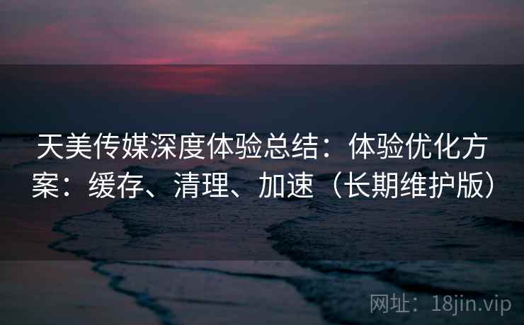 天美传媒深度体验总结：体验优化方案：缓存、清理、加速（长期维护版）