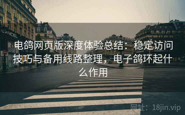 电鸽网页版深度体验总结:稳定访问技巧与备用线路整理,电子鸽环起什么作用 电鸽网页版深度体验总结:稳定访问技巧与备用线路整理,电子鸽环起什么作用