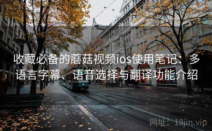 收藏必备的蘑菇视频ios使用笔记:多语言字幕、语音选择与翻译功能介绍 收藏必备的蘑菇视频ios使用笔记:多语言字幕、语音选择与翻译功能介绍