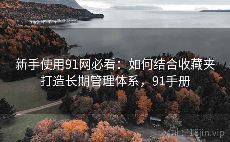 新手使用91网必看：如何结合收藏夹打造长期管理体系，91手册