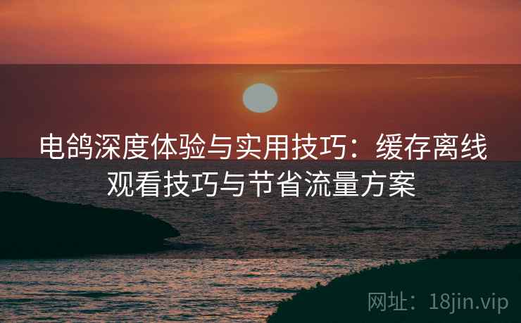 电鸽深度体验与实用技巧:缓存离线观看技巧与节省流量方案 电鸽深度体验与实用技巧:缓存离线观看技巧与节省流量方案