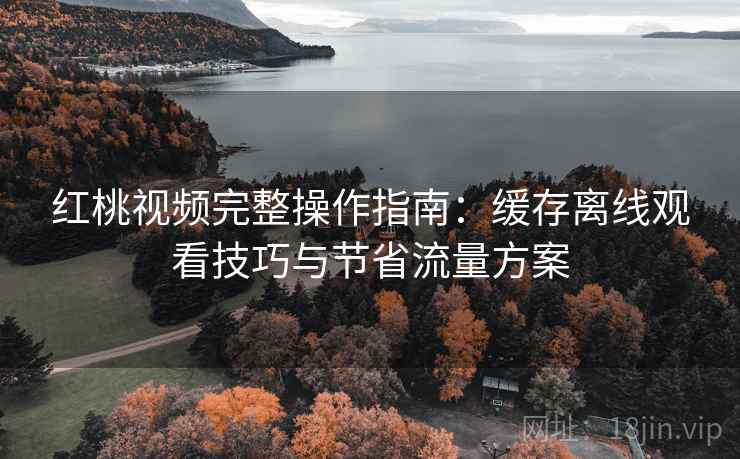 红桃视频完整操作指南:缓存离线观看技巧与节省流量方案 红桃视频完整操作指南:缓存离线观看技巧与节省流量方案
