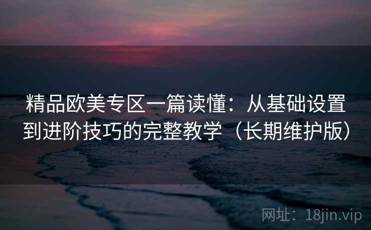 精品欧美专区一篇读懂：从基础设置到进阶技巧的完整教学（长期维护版）