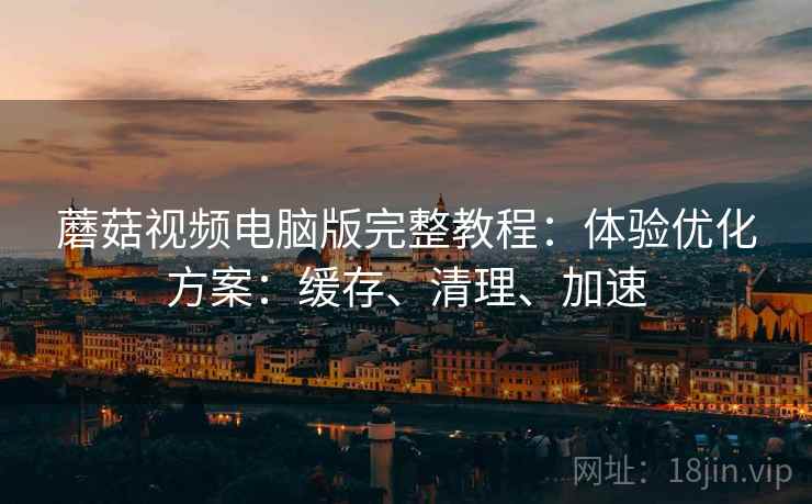蘑菇视频电脑版完整教程：体验优化方案：缓存、清理、加速
