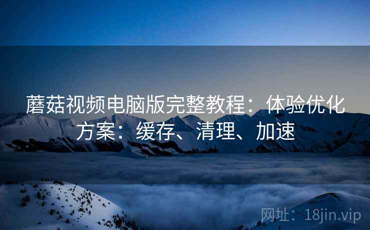 蘑菇视频电脑版完整教程：体验优化方案：缓存、清理、加速