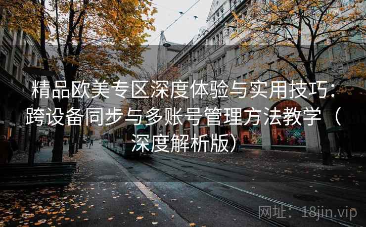精品欧美专区深度体验与实用技巧：跨设备同步与多账号管理方法教学（深度解析版）