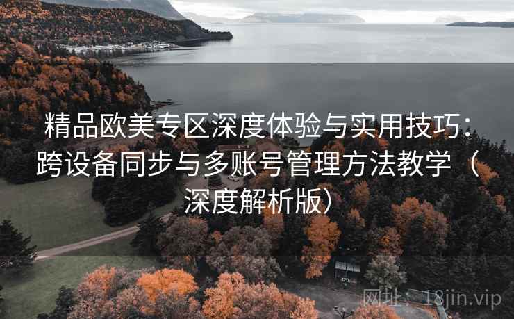 精品欧美专区深度体验与实用技巧：跨设备同步与多账号管理方法教学（深度解析版）