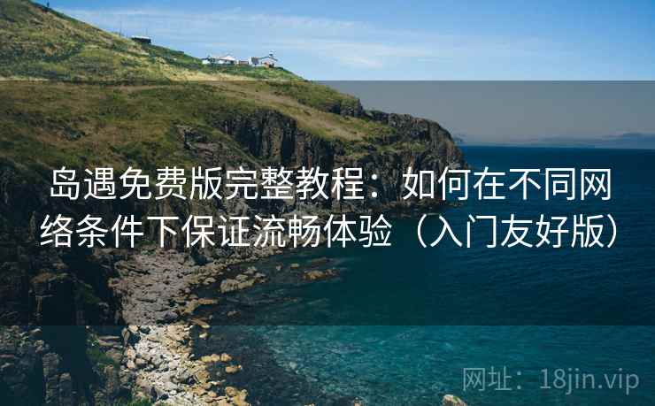 岛遇免费版完整教程：如何在不同网络条件下保证流畅体验（入门友好版）