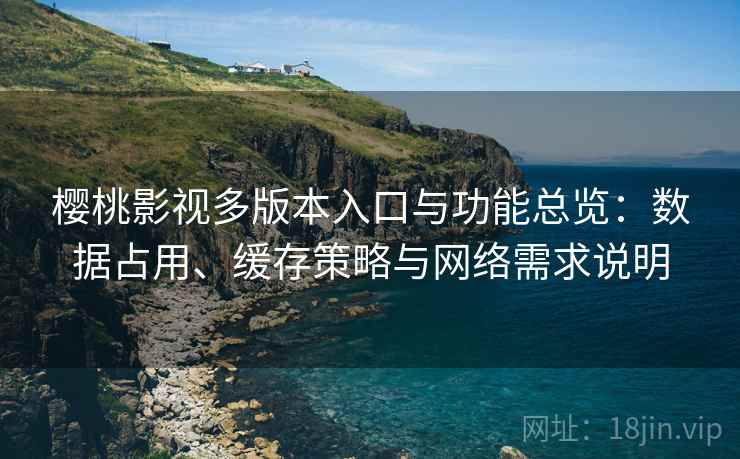 樱桃影视多版本入口与功能总览：数据占用、缓存策略与网络需求说明