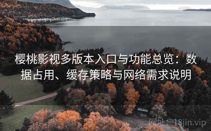 樱桃影视多版本入口与功能总览：数据占用、缓存策略与网络需求说明