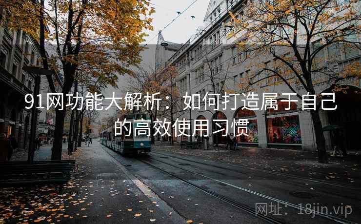 91网功能大解析：如何打造属于自己的高效使用习惯